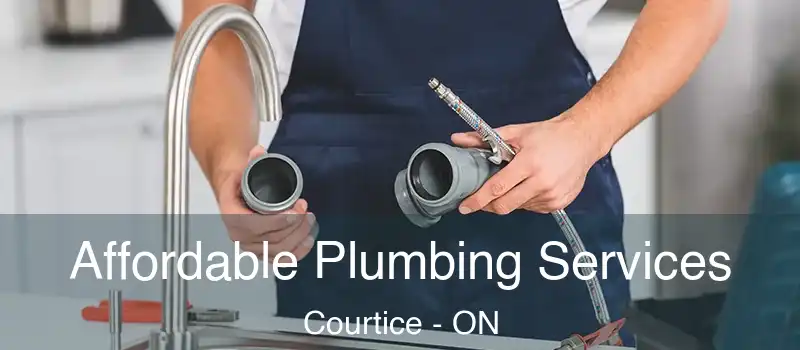 Affordable Plumbing Services Courtice - ON