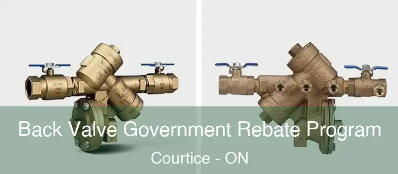  Back Valve Government Rebate Program Courtice - ON