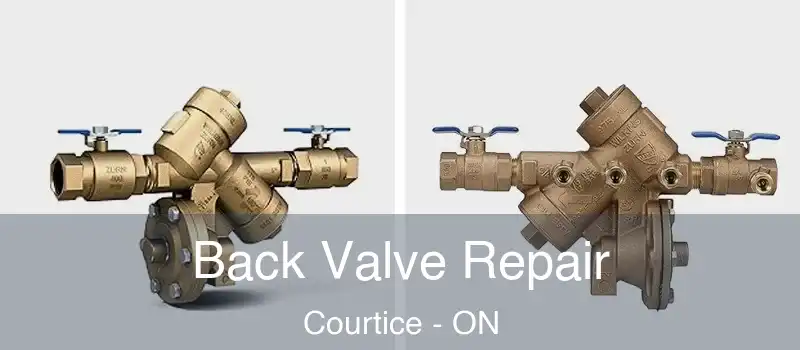  Back Valve Repair Courtice - ON
