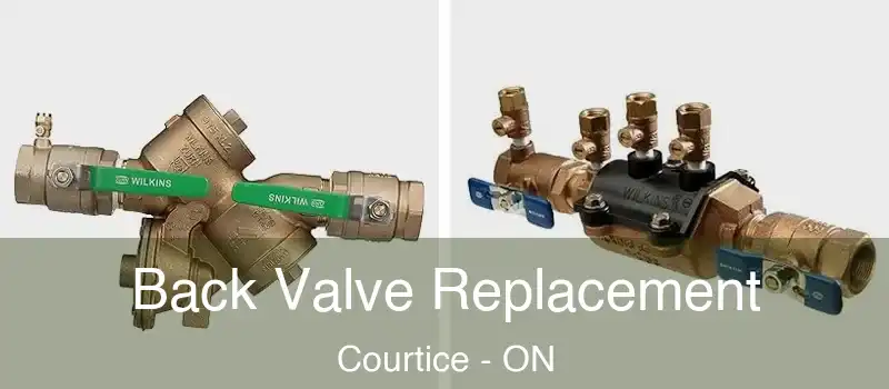 Back Valve Replacement Courtice - ON