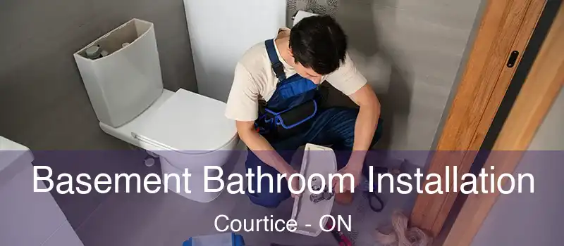 Basement Bathroom Installation Courtice - ON