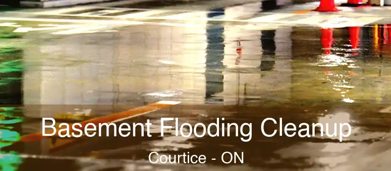  Basement Flooding Cleanup Courtice - ON