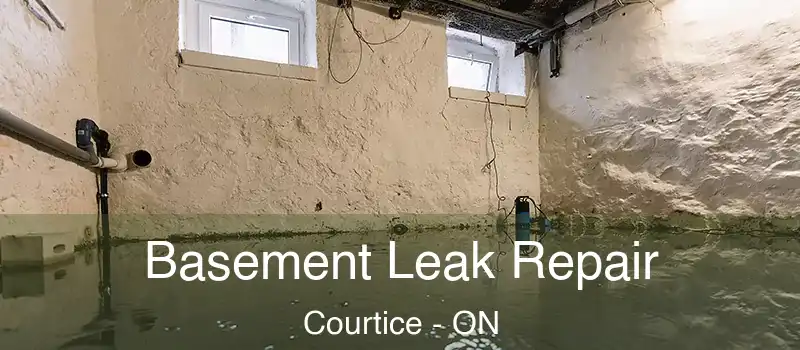  Basement Leak Repair Courtice - ON