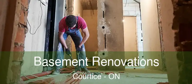  Basement Renovations Courtice - ON