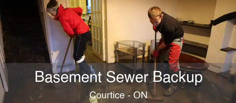 Basement Sewer Backup Courtice - ON