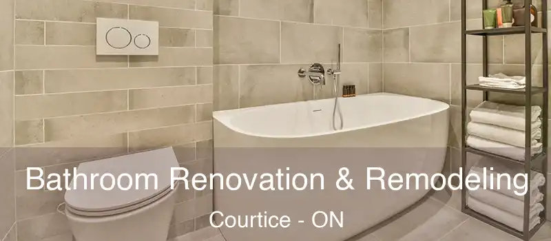 Bathroom Renovation & Remodeling Courtice - ON