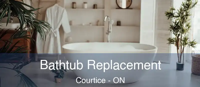  Bathtub Replacement Courtice - ON