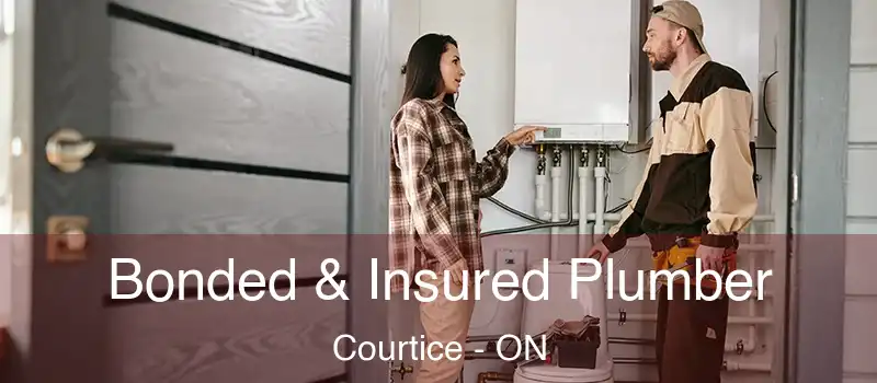  Bonded & Insured Plumber Courtice - ON