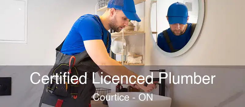  Certified Licenced Plumber Courtice - ON