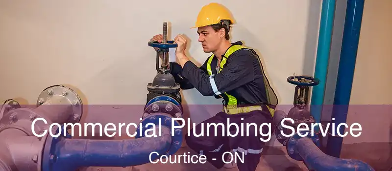 Commercial Plumbing Service Courtice - ON