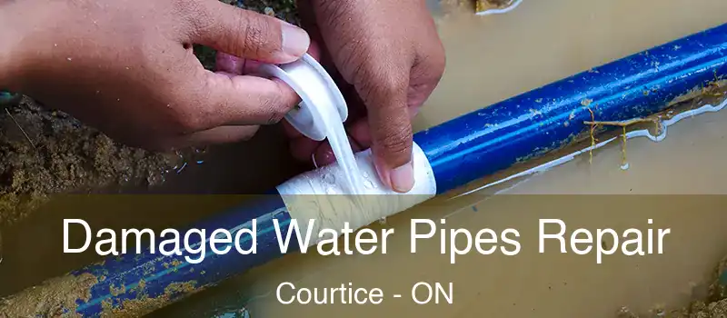 Damaged Water Pipes Repair Courtice - ON