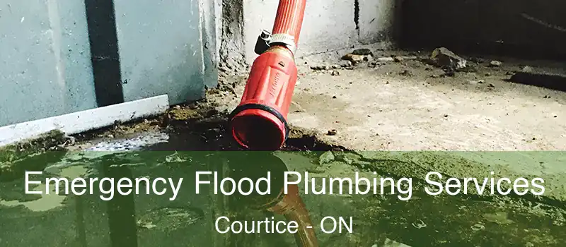  Emergency Flood Plumbing Services Courtice - ON