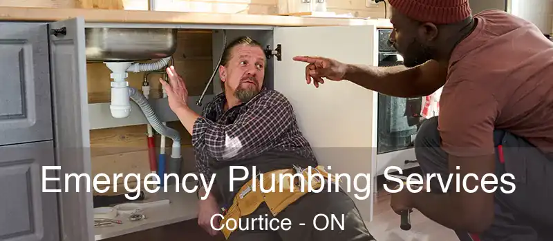  Emergency Plumbing Services Courtice - ON