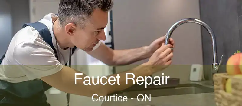  Faucet Repair Courtice - ON