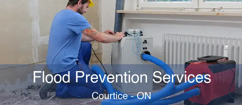  Flood Prevention Services Courtice - ON