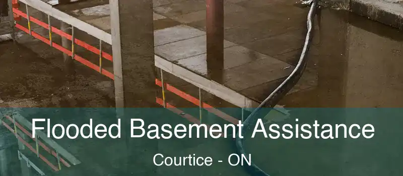  Flooded Basement Assistance Courtice - ON