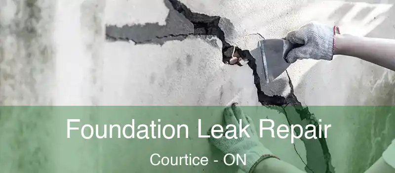 Foundation Leak Repair Courtice - ON