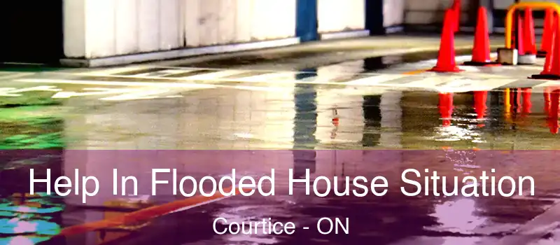 Help In Flooded House Situation Courtice - ON