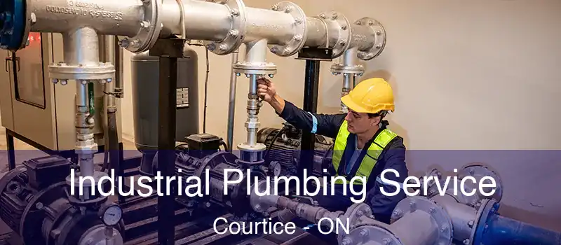  Industrial Plumbing Service Courtice - ON