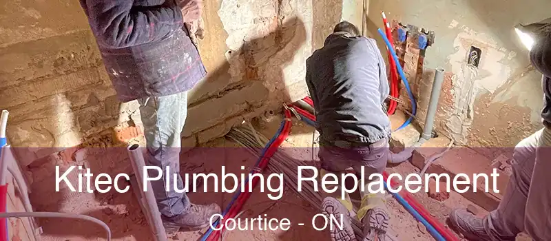  Kitec Plumbing Replacement Courtice - ON