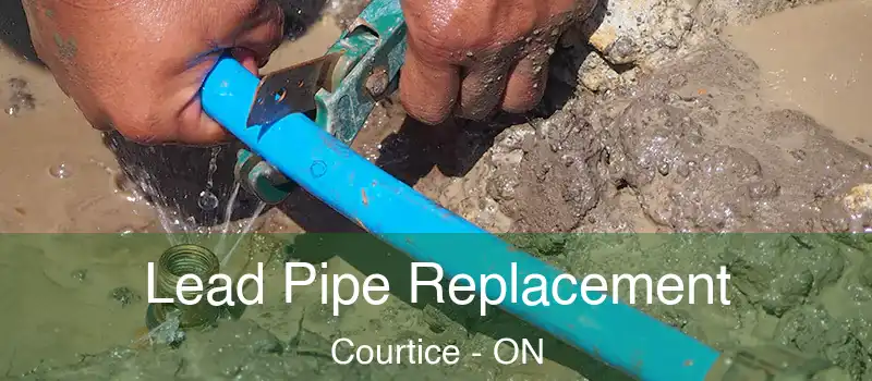 Lead Pipe Replacement Courtice - ON