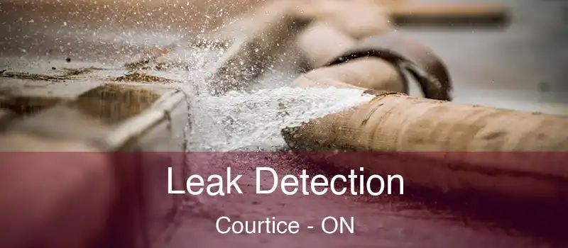  Leak Detection Courtice - ON