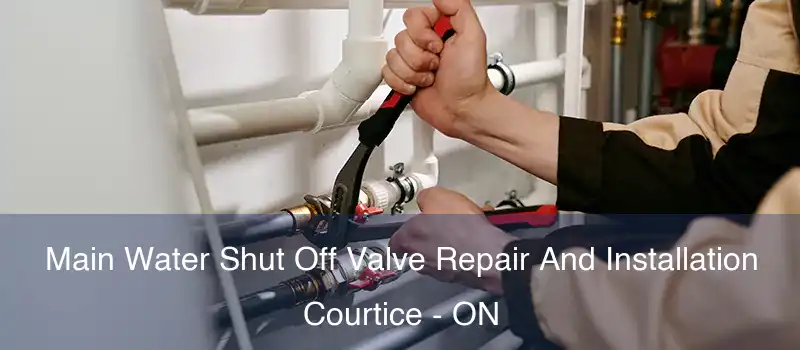  Main Water Shut Off Valve Repair And Installation Courtice - ON