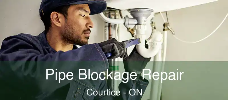  Pipe Blockage Repair Courtice - ON