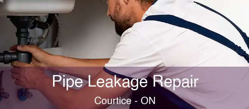  Pipe Leakage Repair Courtice - ON