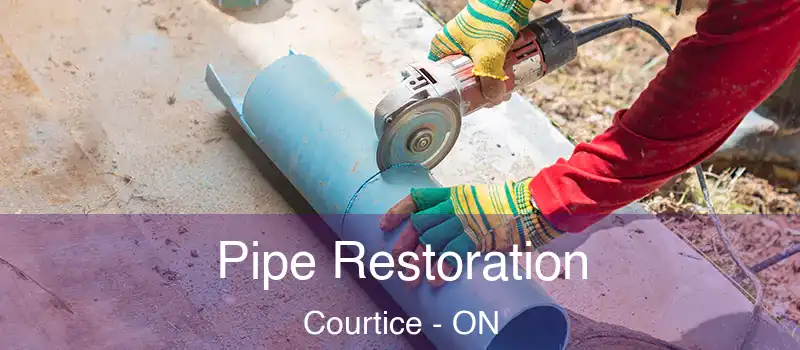  Pipe Restoration Courtice - ON