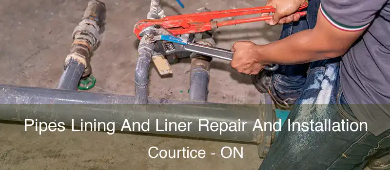  Pipes Lining And Liner Repair And Installation Courtice - ON