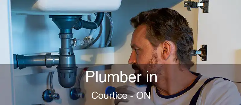 Plumber in Courtice - ON
