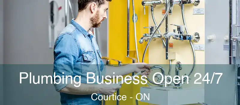 Plumbing Business Open 24/7 Courtice - ON