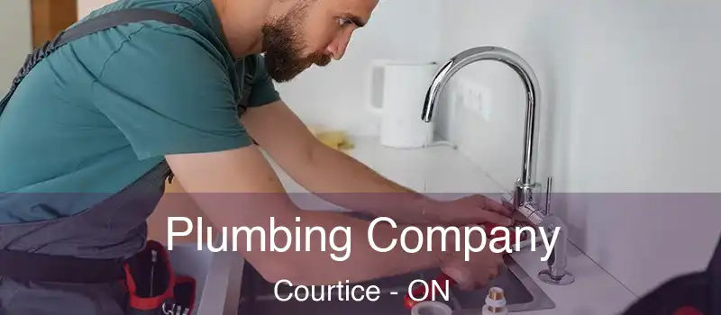 Plumbing Company Courtice - ON