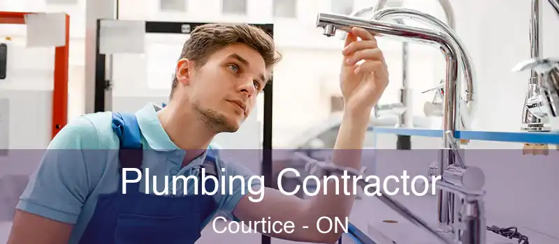  Plumbing Contractor Courtice - ON