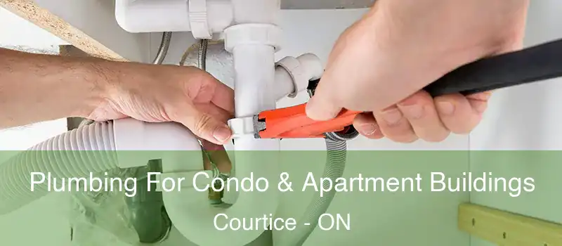 Plumbing For Condo & Apartment Buildings Courtice - ON