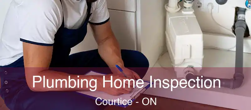  Plumbing Home Inspection Courtice - ON