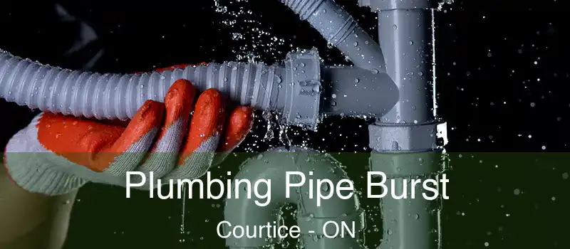 Plumbing Pipe Burst Courtice - ON