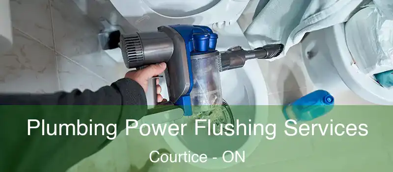 Plumbing Power Flushing Services Courtice - ON