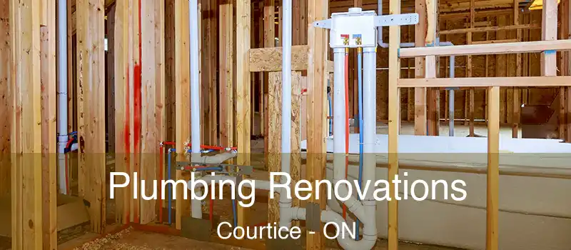  Plumbing Renovations Courtice - ON