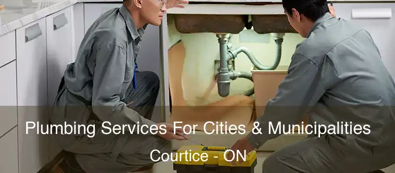 Plumbing Services For Cities & Municipalities Courtice - ON