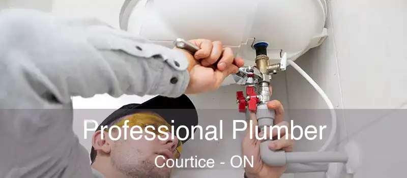 Professional Plumber Courtice - ON