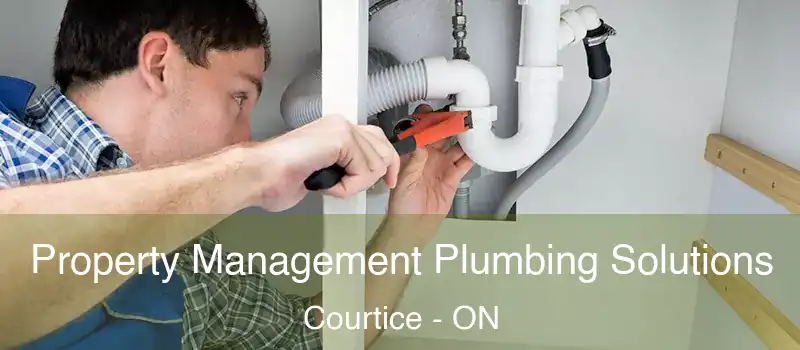 Property Management Plumbing Solutions Courtice - ON