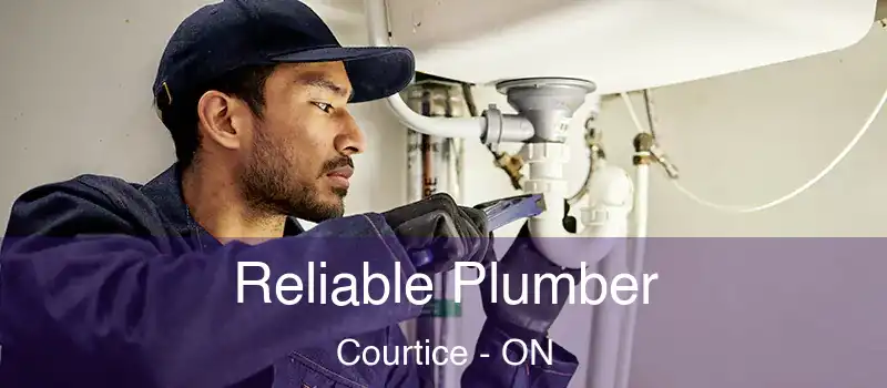 Reliable Plumber Courtice - ON