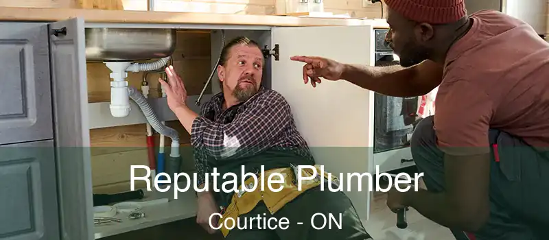 Reputable Plumber Courtice - ON