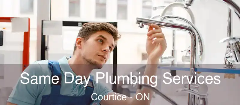 Same Day Plumbing Services Courtice - ON