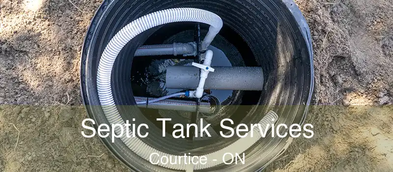  Septic Tank Services Courtice - ON