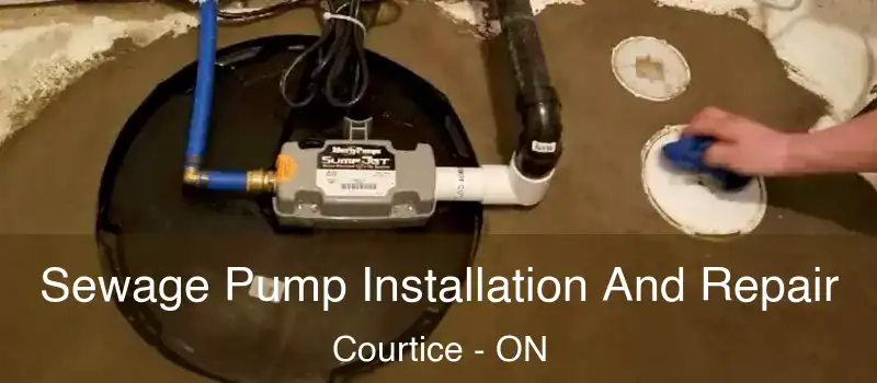 Sewage Pump Installation And Repair Courtice - ON