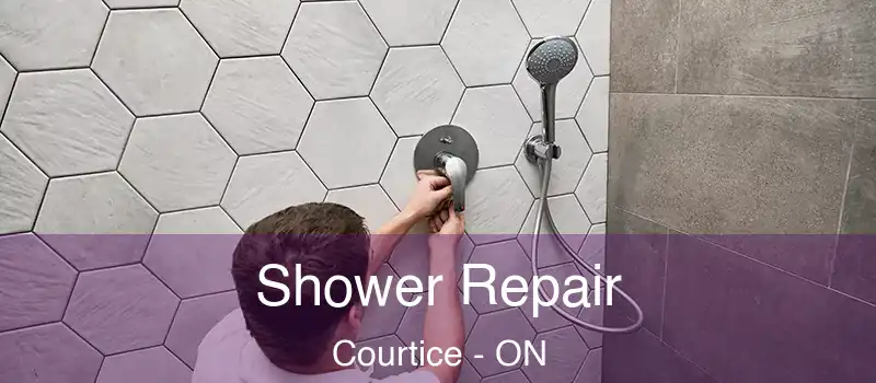  Shower Repair Courtice - ON