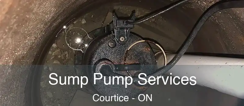 Sump Pump Services Courtice - ON